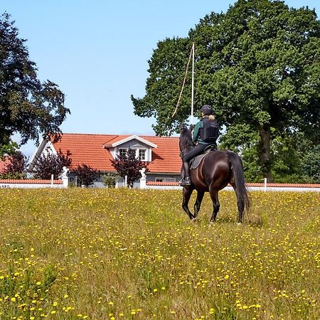 Mollegade 1 Holiday House Nordborg Exterior foto